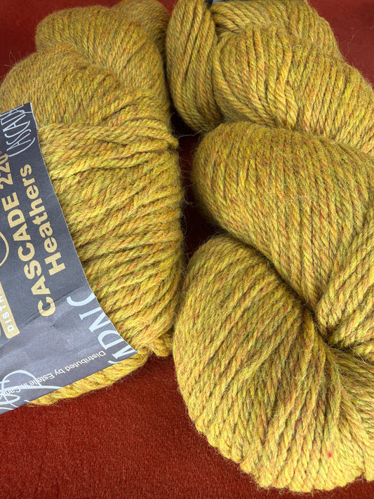 2 Hanks of Cascade Yarns 220 Heathers in Color 9564 Golden close up