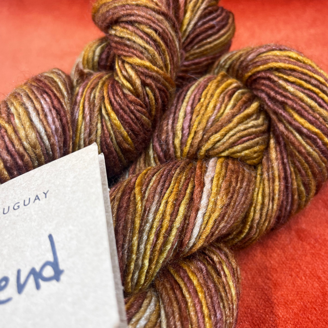 Two hanks of MANOS del URUGUAY Silk Blend yarn in the color Prairie, a hand-dyed blend of tussah silk and merino wool. very close up to see color