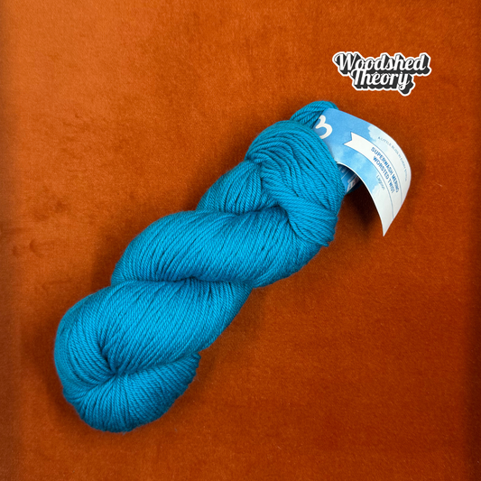 Cloudborn Fibers Superwash Merino Twist in Lagoon - 1 Hank top down