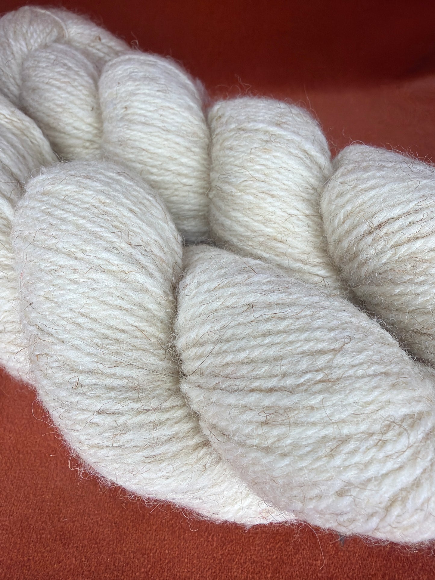 Unlabeled Homespun (Rustic) Wool Natural (2 Skeins) 7.4 oz close up 