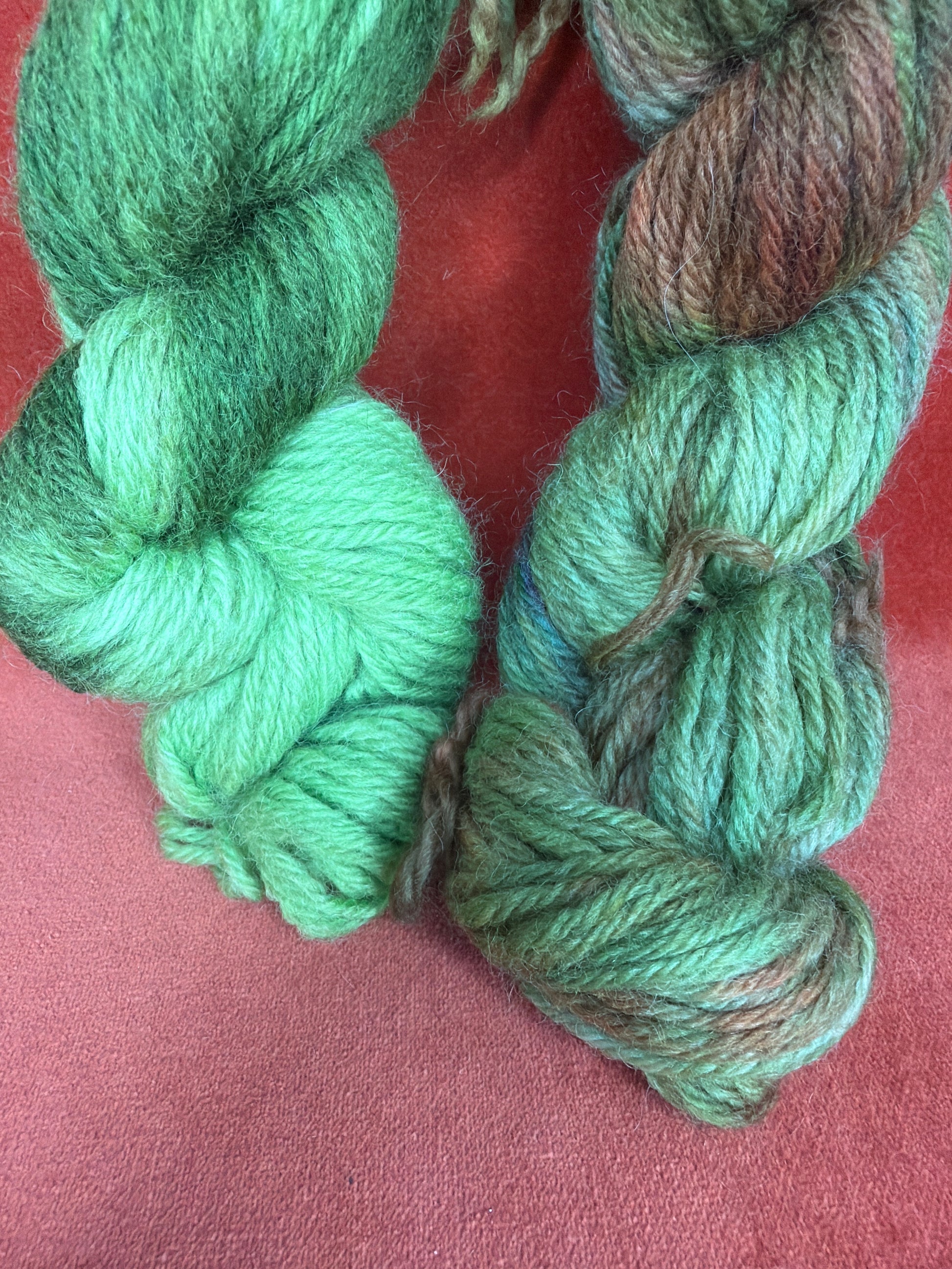 Unmarked Hand-Dyed Yarn Greens and Browns (2 Hanks) close up 